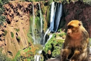 Ouzoud waterfalls