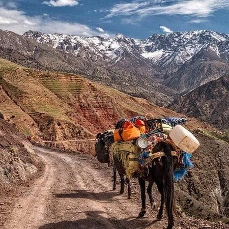 Atlas Mountains Berber Villages - MT Toubkal Trek